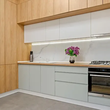 Luxury Apartment